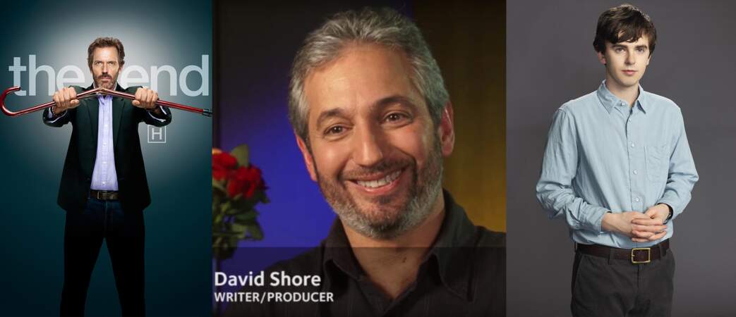 C'est David Shore, déjà l'auteur de Dr House en 2004, qui a adapté la série pour ABC.