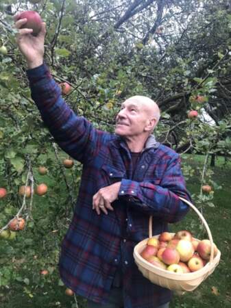 Allez, c'est pas tout ça mais on a cueillette de pommes avec Patrick Stewart. 