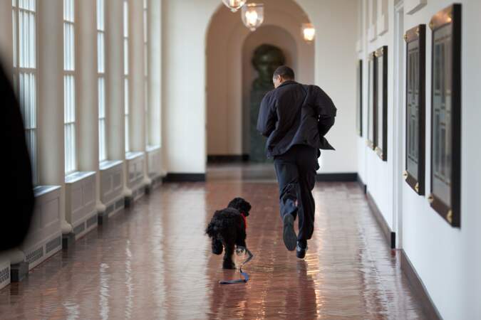 Barack Obama, un président cool qui fait la course à la Maison Blanche avec Bo, le chien de la famille