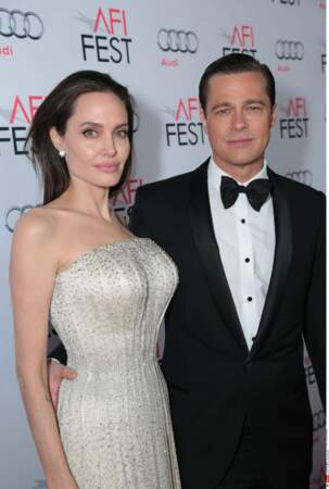 Angelina Jolie et Brad Pitt : 12 ans d'amour, six enfants, un mariage. Et aujourd'hui un divorce. Snif...