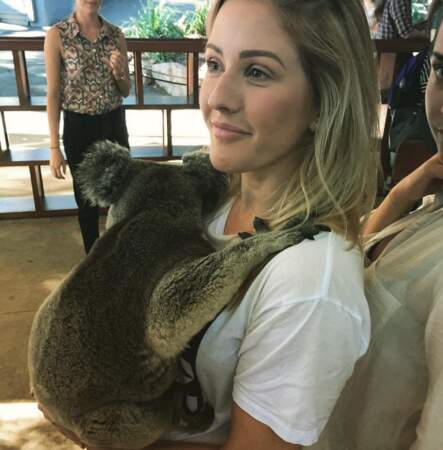 Cette chanceuse d'Ellie Goulding a rencontré un koala. 