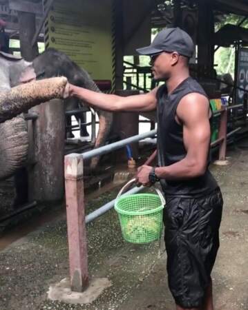 Ça trompe énormément, mais Patrice Evra nourrit bien un éléphant en Thaïlande...