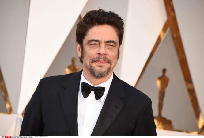 La rumeur veut qu'elle ait fait tourner la tête de Benicio del Toro
