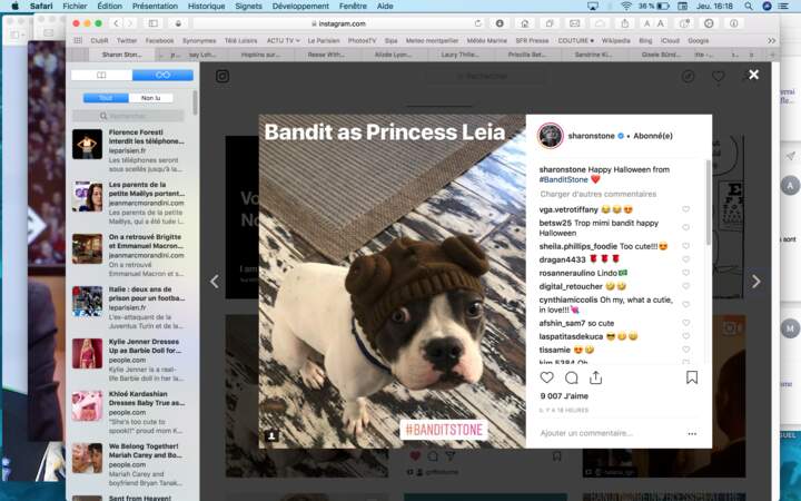 Sharon Stone a affublé son chien Bandit d'une coiffe de Princesse Leia…