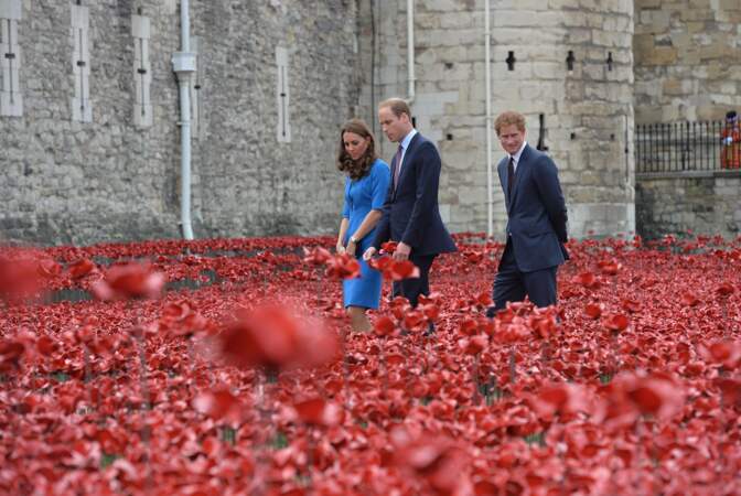 Devant la Tour de Londres, ils se promènent parmi les coquelicots, symboles des soldats britanniques de la guerre