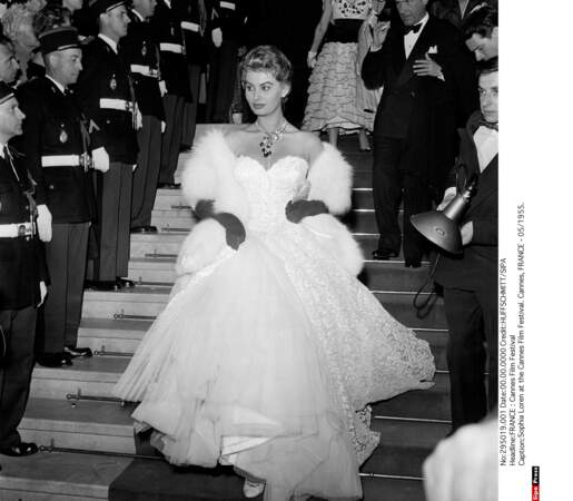 C'est en 1955, que la magnifique Sophia Loren descend les marches pour le 8ème Festival de Cannes