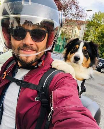 Madame, le chien de Christophe Beaugrand, a fait un petit tour en scooter. 