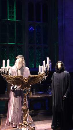Albus Dumbledore et Severus Rogue veillent au grain 
