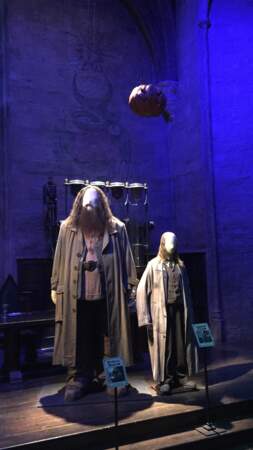 Hagrid et le professeur Filius