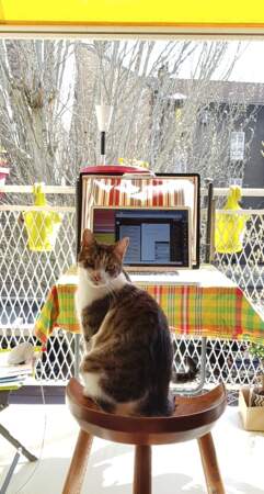 Turbo, le chat de Caroline, profite lui du soleil sur la terrasse pendant que sa maîtresse travaille...