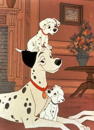 Vous vous souvenez de Pongo, le papa de la portée de dalmatiens ?