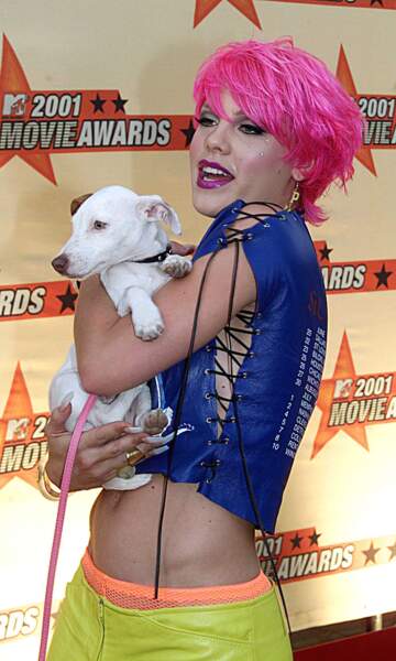 La chevelure de Pink a connu toutes les teintes de roses (ou presque). La voici en 2001 avec son chien Sucker.