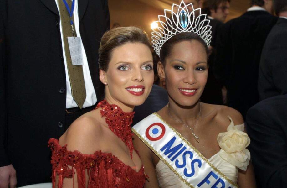 Le 14 décembre 2002, la jolie blonde a cédé sa couronne à Corinne Coman, élue Miss France 2003