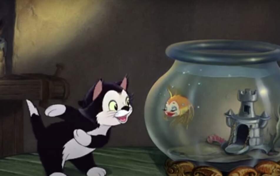 Vous souvenez-vous du mignon Figaro, le chaton de Geppetto ? 