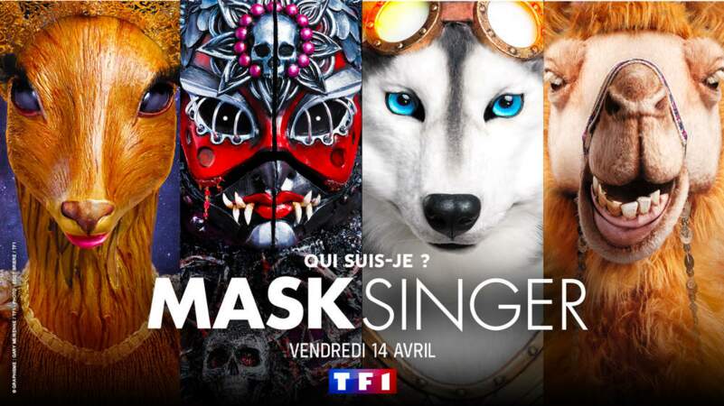 Dans les premiers visuels publiés par TF1, on découvre également un husky