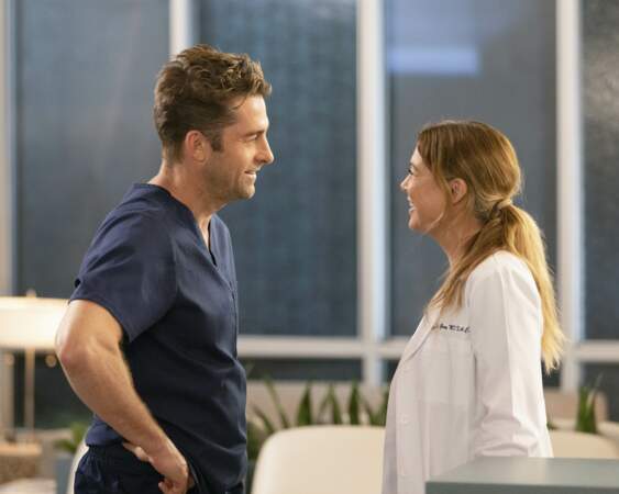 Durant la saison 18, Meredith développe une relation avec Nick (Scott Speedman). Une relation qui s'achèvera avec le départ de la chirurgienne...