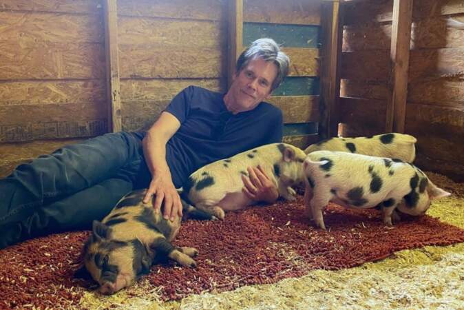 Et notre rêve enfin exaucé : Kevin Bacon et d'adorables cochons miniatures.