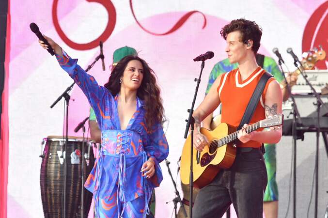 Les jeunes chanteurs Shawn Mendes et Camila Cabello ne reprendront plus leur duo