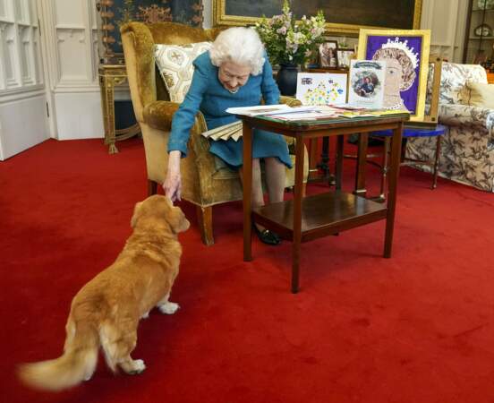 Un chien lui tient compagnie dans cette étape importante pour la reine