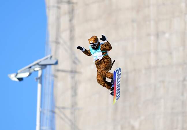 Petit clin d'oeil à Lucile Lefevre qui, pour fêter la fin de sa carrière,  termine le Snowboard Big Air en combinaison de tigre.
