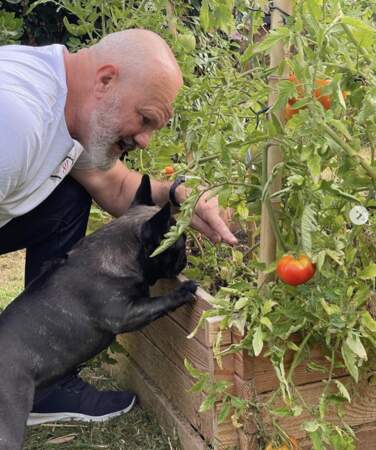 Et Nina, fidèle compagne de Philippe Etchebest, supervisait la pousse de leurs tomates.