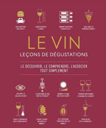 Le vin, leçons de dégustation, de Dorling Kindersley - Éditions Prisma 