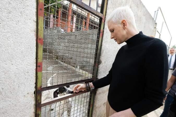 Lorsqu'elle n'est pas sur les tapis rouge, Charlène de Monaco continue d'oeuvrer pour le bien-être des animaux en tenue décontractée