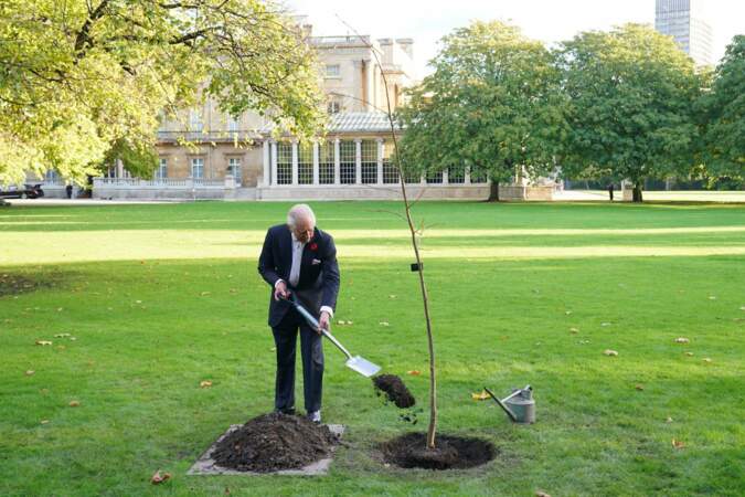 Le roi Charles plante un arbre dans le jardin du Palace de Buckingham en prévision de la Cop27 en 2022