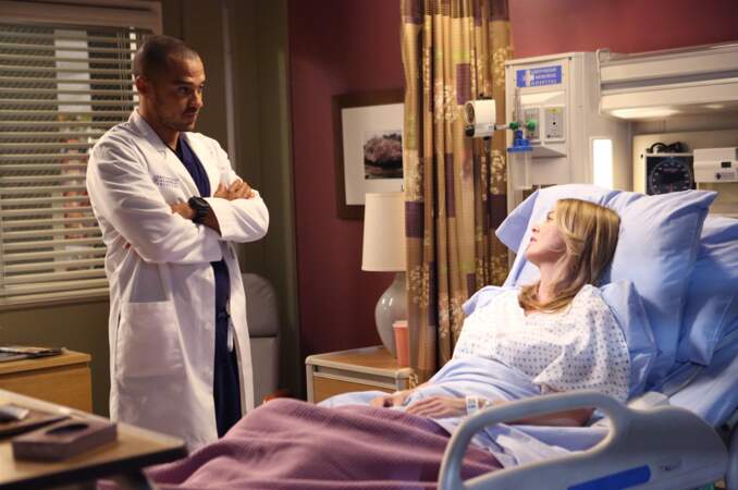 Jackson Avery (Jesse Williams) sera aussi très présent aux côtés de Meredith dès son arrivée à la saison 6...