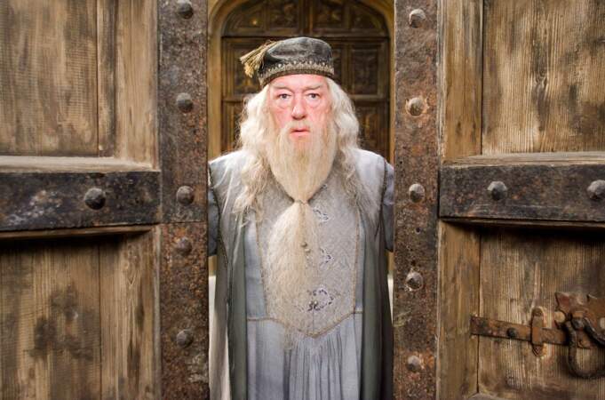 Michael Gambon, acteur connu pour son rôle de Dumbledore dans Harry Potter est mort le 19 octobre à l'âge de 82 ans