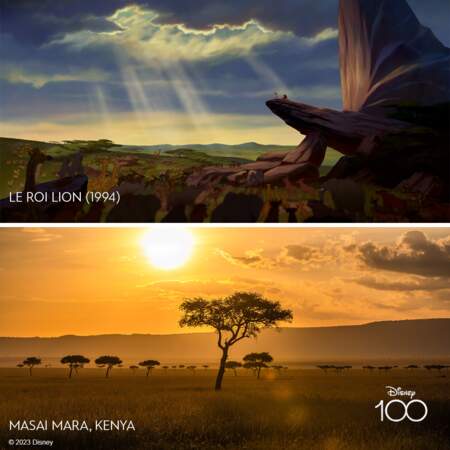 Le Roi Lion se déroule dans ce qui ressemble à la réserve du Masai Mara au Kenya.
