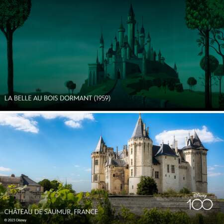 Pour Le Belle au bois dormant, le château s'inspire des enluminures des Très Riches Heures du Duc de Berry et des dessins de Viollet-le-Duc.