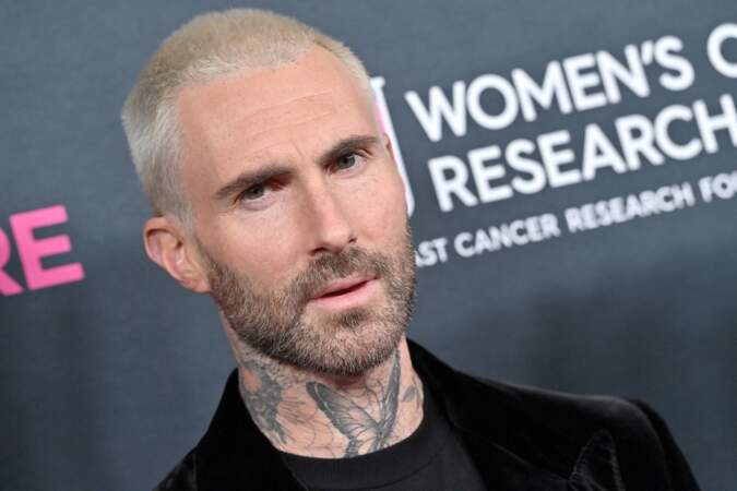 En 2013, le leader du groupe Maroon 5, Adam Levine est sacré l'homme le plus sexy