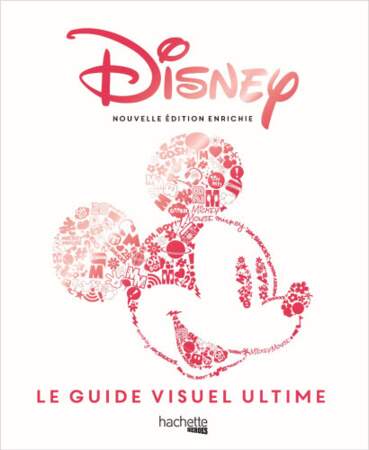Disney - Le guide visuel ultime, Jim Fanning et Tracey Miller-Zarneke,  Hachette Heroes 