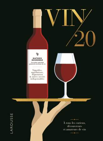 Vin/20, Mathieu Doumenge, Larousse 
