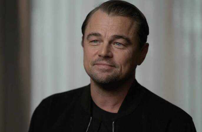 Leonardo DiCaprio - 17 210 386 entrées
