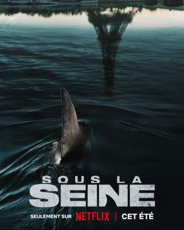 Enfin, à l'été, le film français Sous la Seine sera disponible sur Netflix