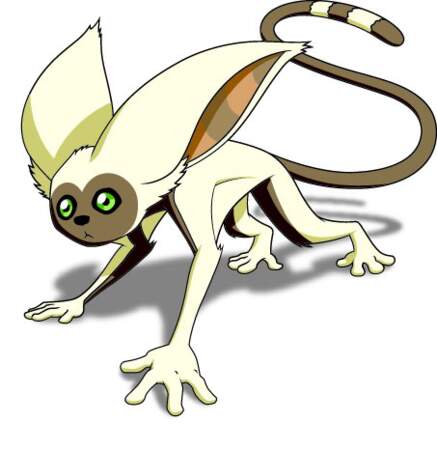 Momo, le lémurien volant, est un autre animal membre de la Team Avatar. 