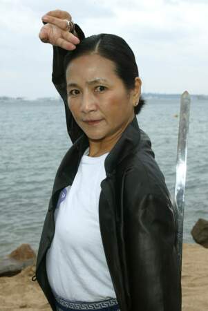 L’actrice chinoise Cheng Pei-pei s’est éteinte le 17 juillet à 78 ans. Star du cinéma d’action, elle avait notamment joué dans Tigre et dragon (2000) et Mulan (2020).